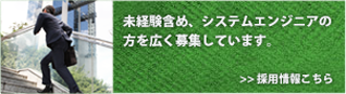 採用情報はこちら